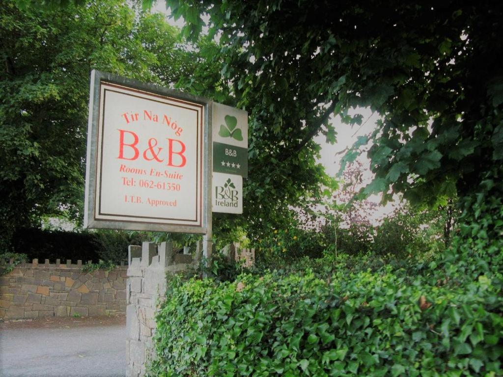 Tir Na Nog B&B Cashel  Ngoại thất bức ảnh