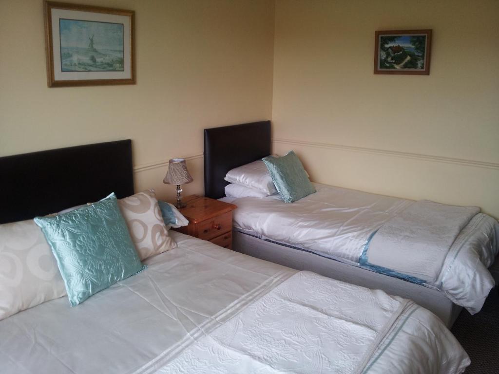 Tir Na Nog B&B Cashel  Ngoại thất bức ảnh