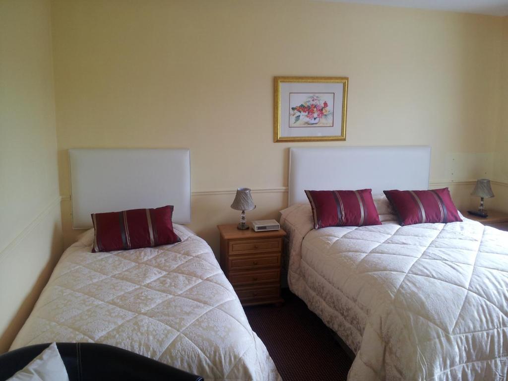 Tir Na Nog B&B Cashel  Ngoại thất bức ảnh
