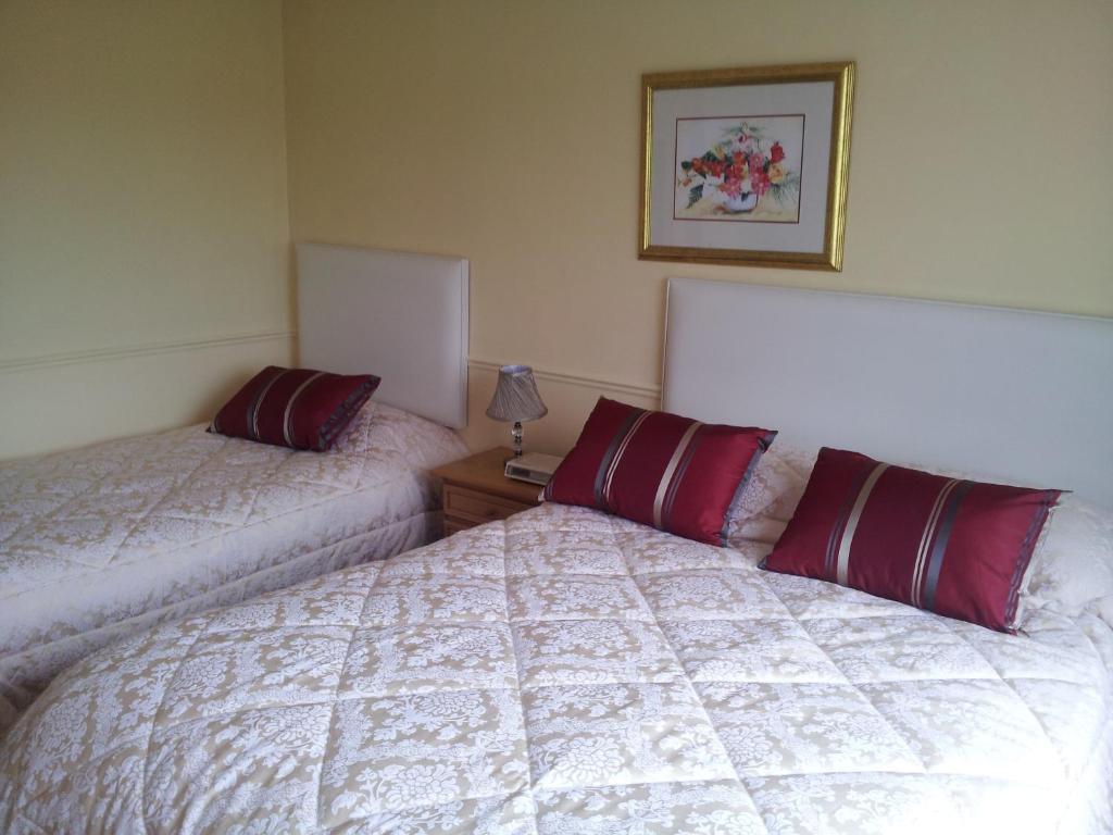Tir Na Nog B&B Cashel  Ngoại thất bức ảnh
